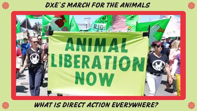  Animal Rights March Exposes Factory ...