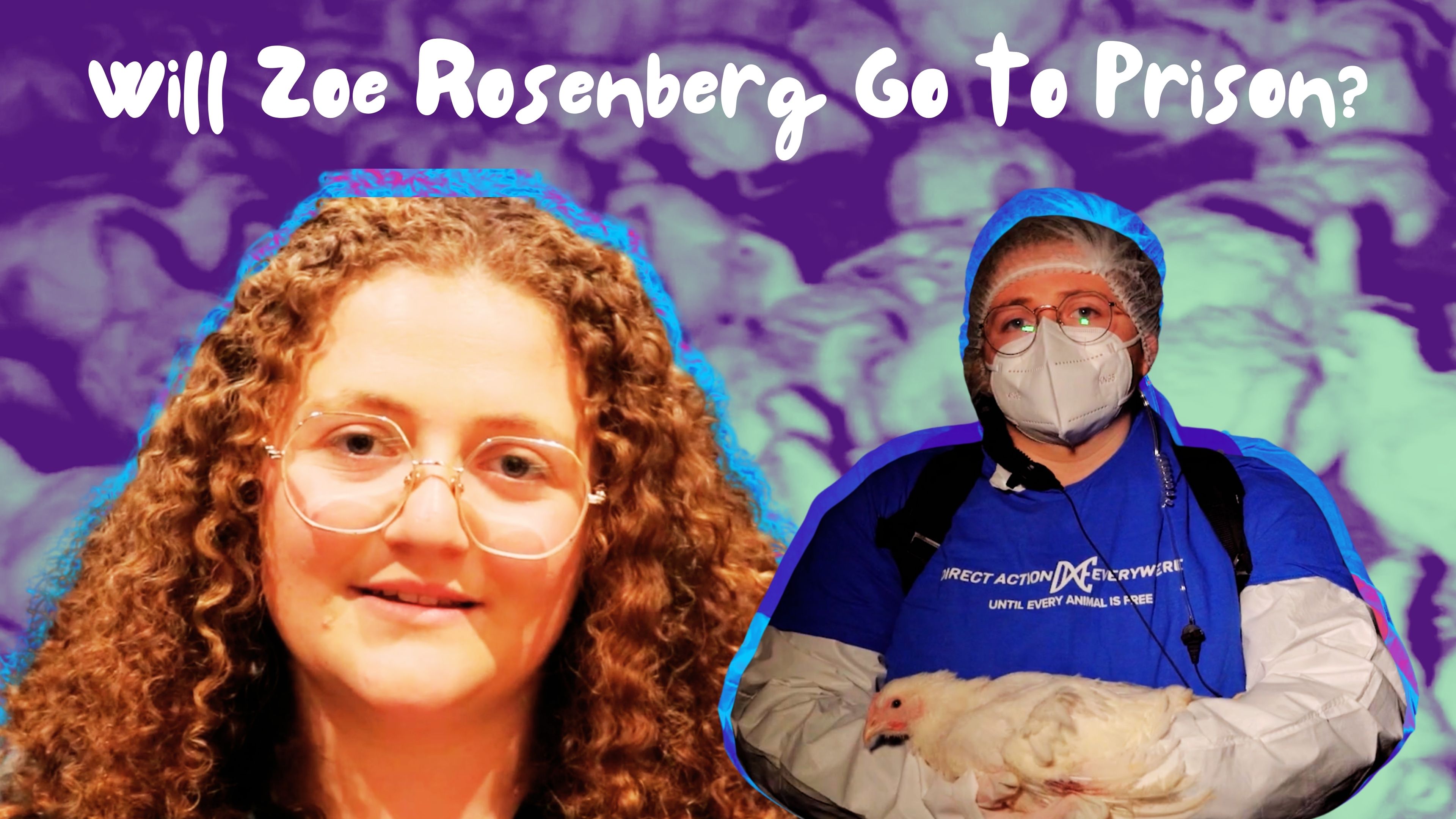 Will Zoe Rosenberg Go to Prison?