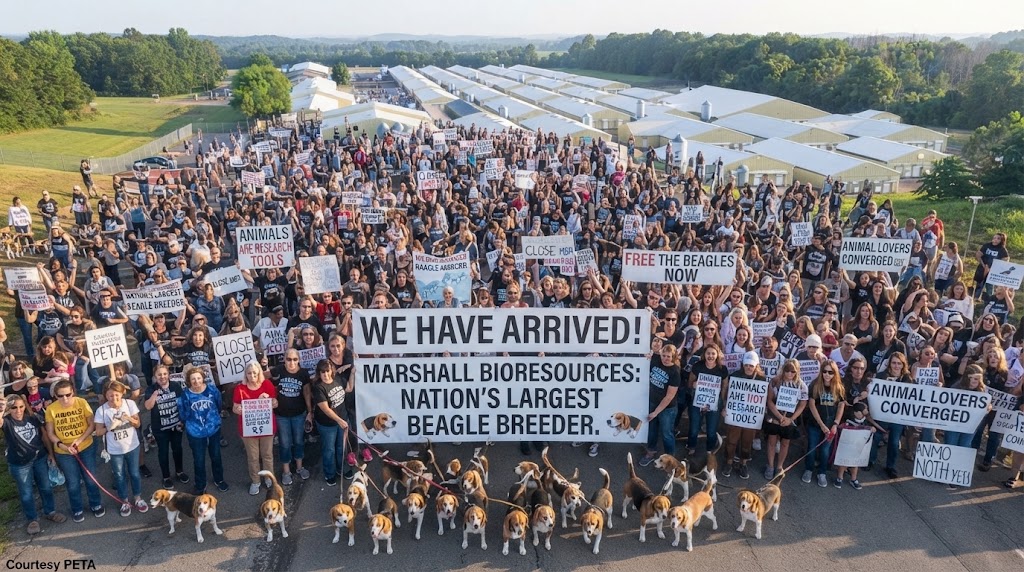 CLIMAX March to End Animal Tests