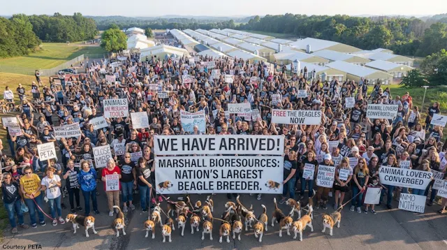 CLIMAX March to End Animal Tests