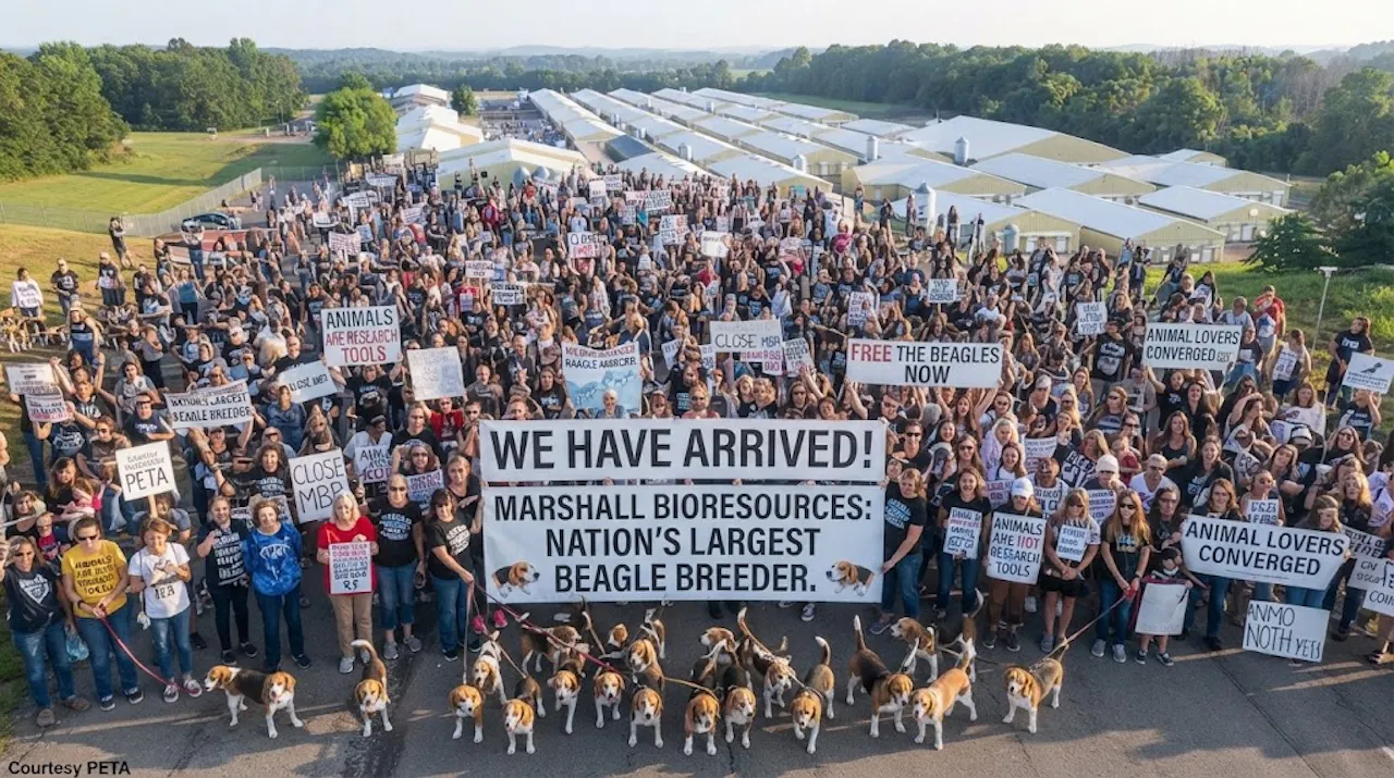 CLIMAX March to End Animal Tests