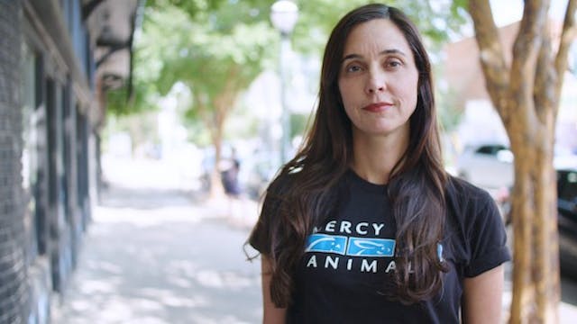 Mercy for Animals Has Big News