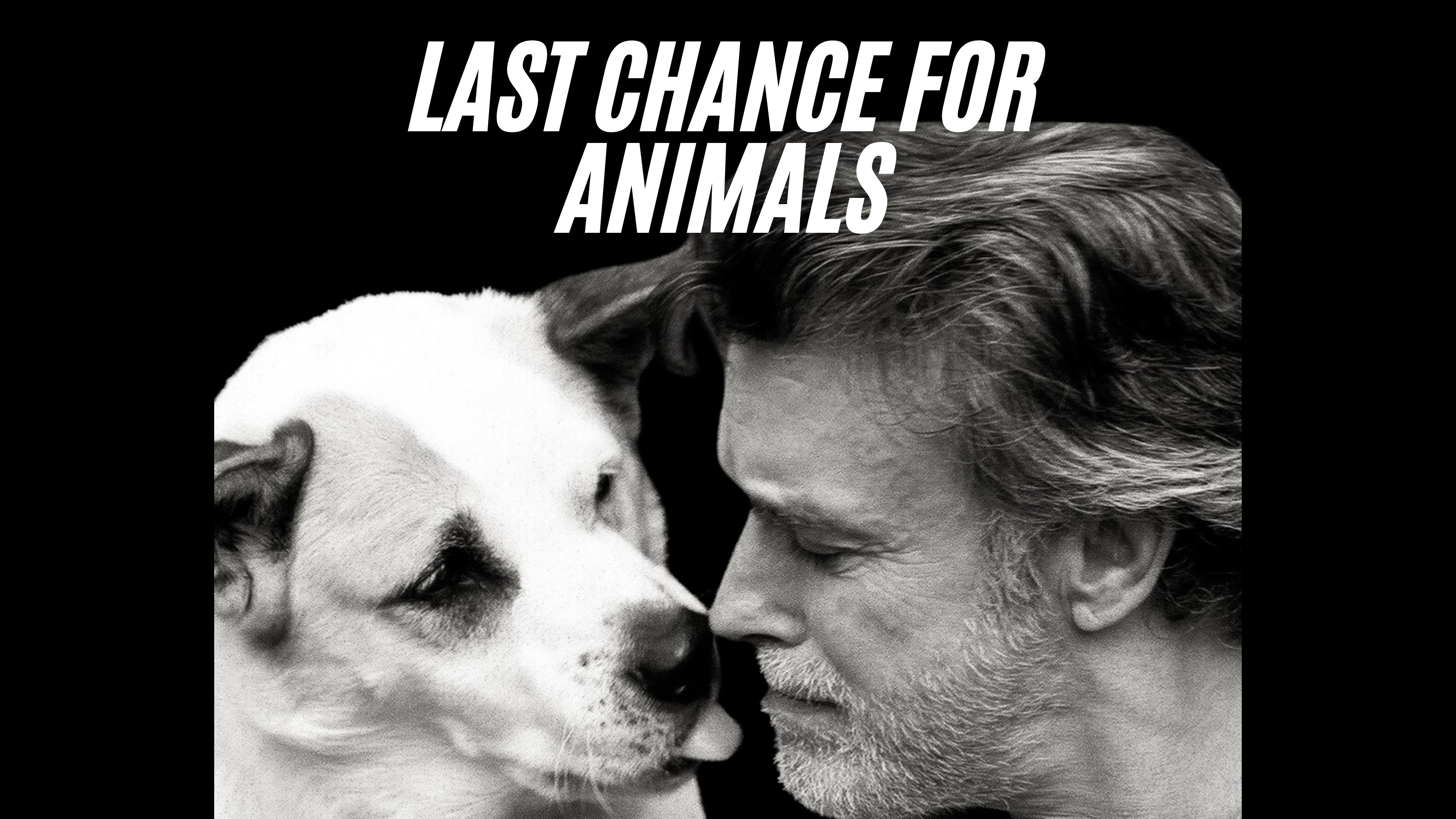 Chris DeRose: Hero for the Animals