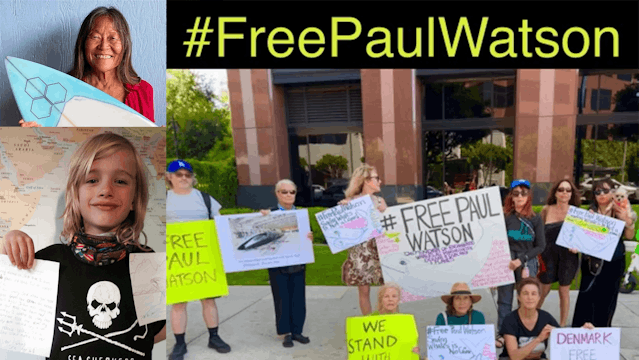 Public Outcry To Free Paul Watson