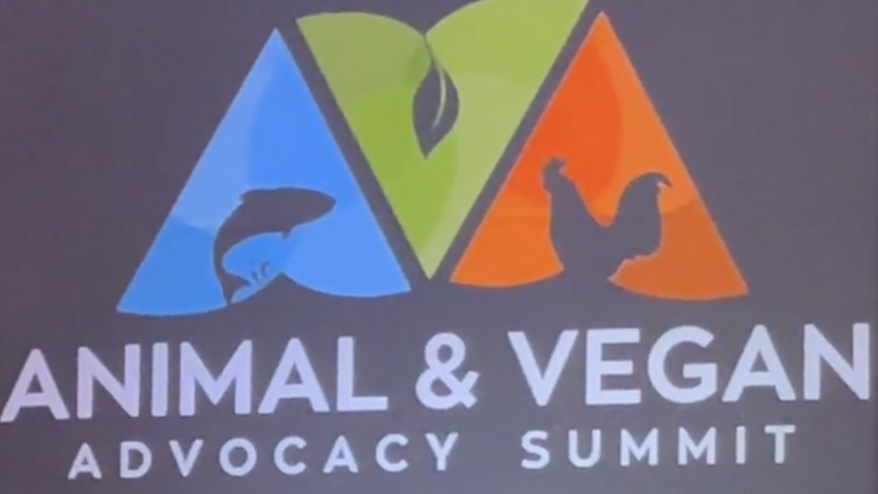 Animal & Vegan Advocacy Summit