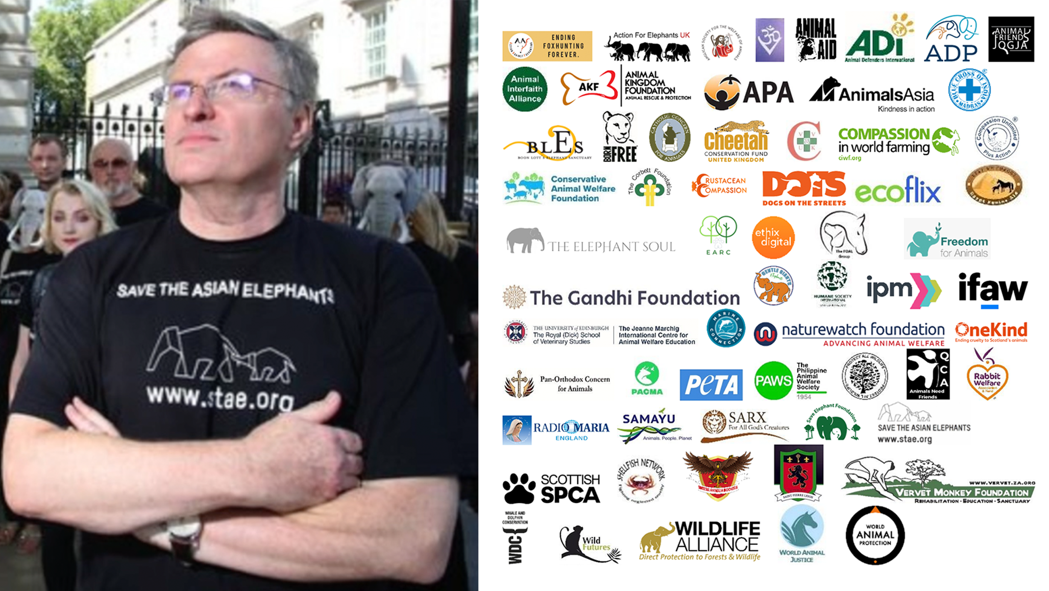 UK’s Animal Welfare Law Stalled