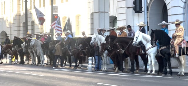 LA's Rodeo Ban Battle Explodes! 