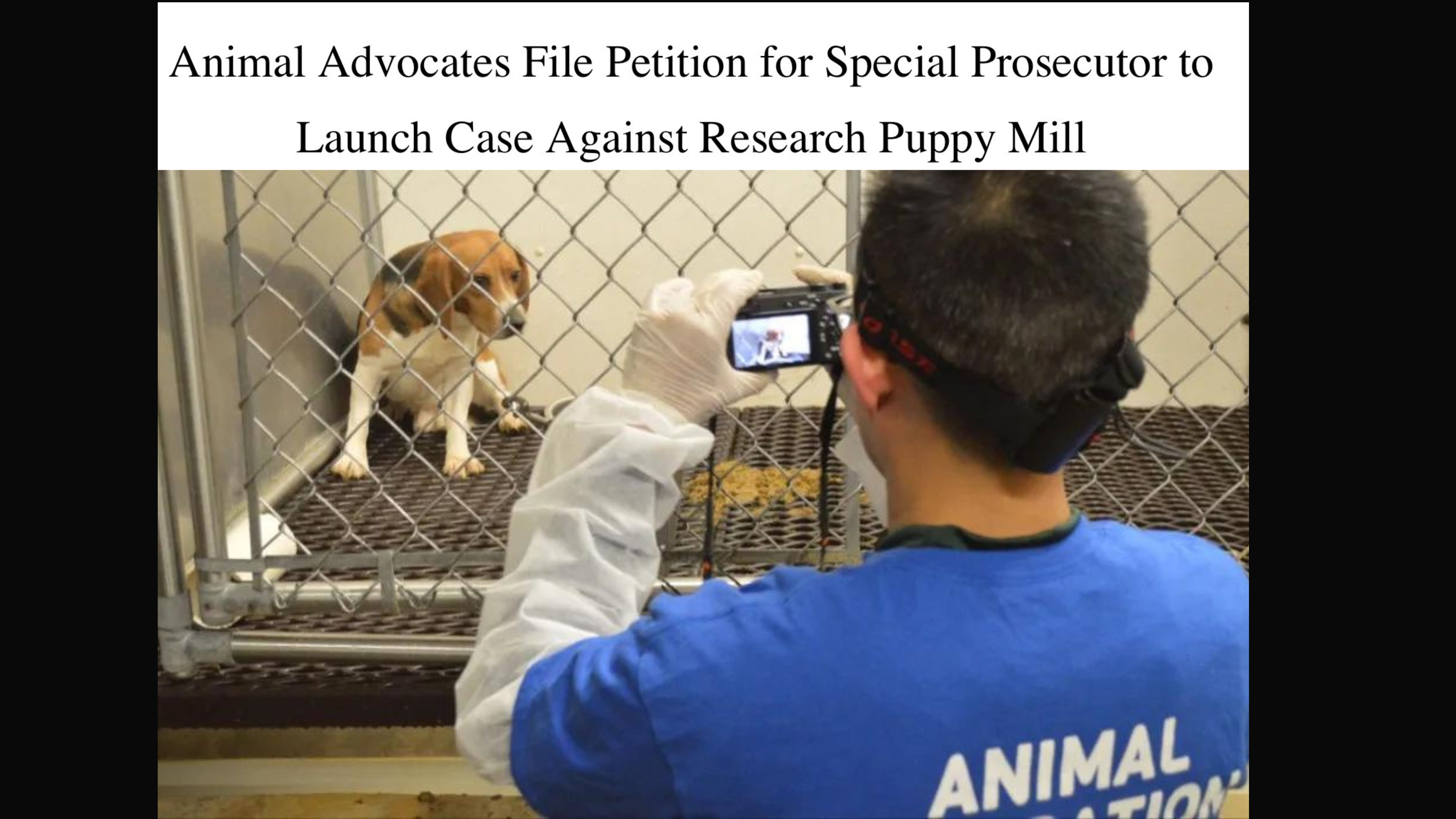 BREAKING NEWS: COURT DRAMA