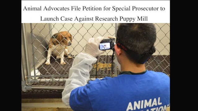 BREAKING NEWS: COURT DRAMA