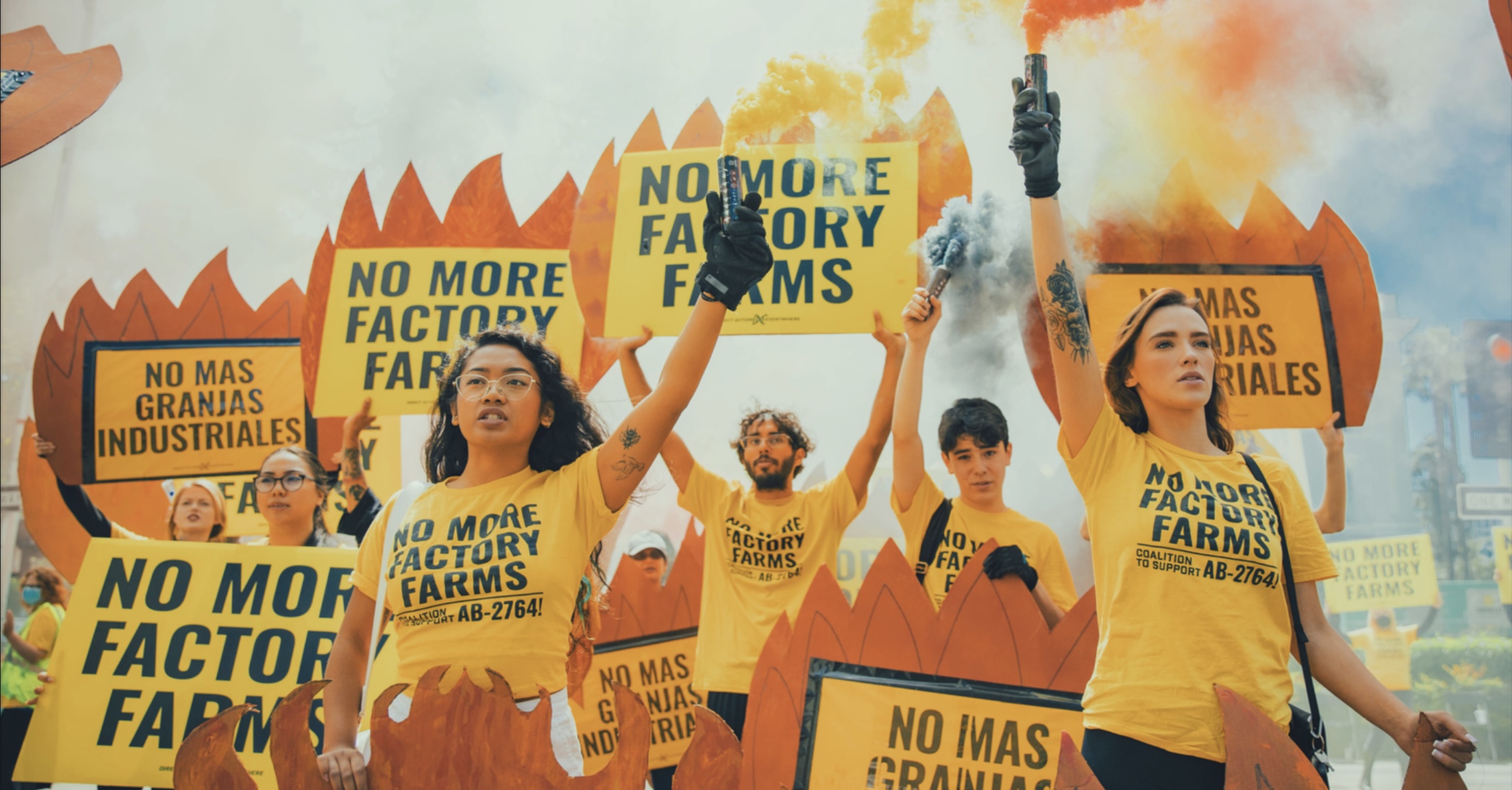 LIVE: DxE's HUGE Animal Liberation Rally/March