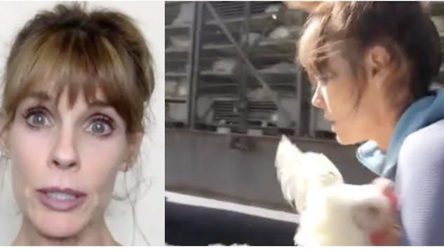 Baywatch Star Goes on Trial for Chick...