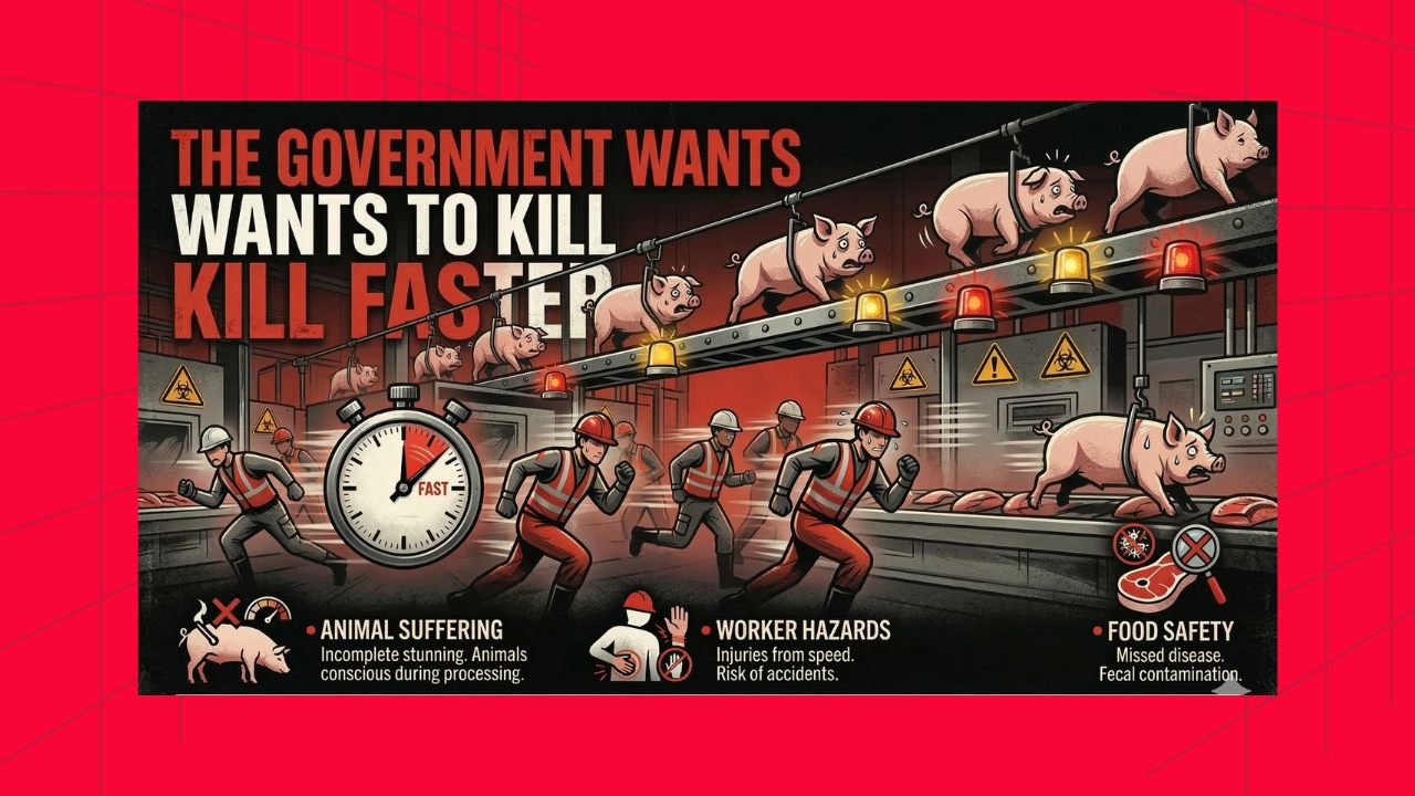 Stop USDA High-Speed Kill Plan