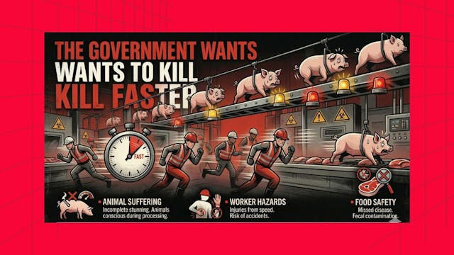 Stop USDA High-Speed Kill Plan