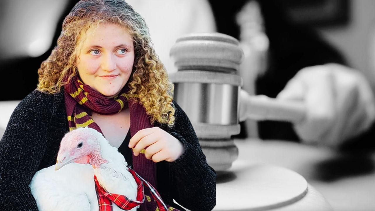 Day 8 Chicken Rescue Trial