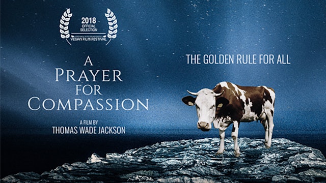 A Prayer for Compassion - Film