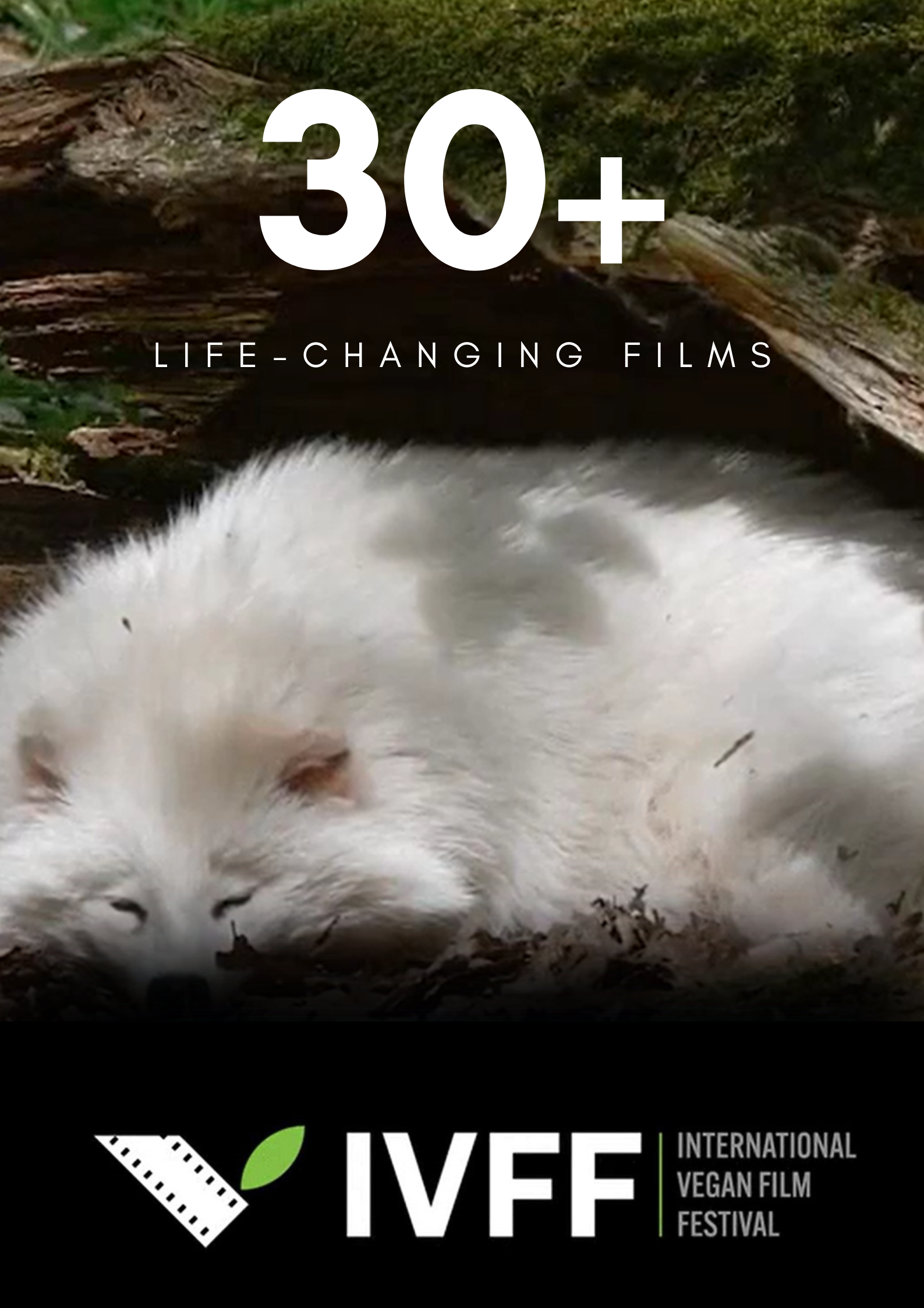 About the International Vegan Film Festival