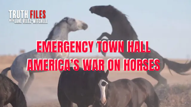 Emergency Town Hall for Horses