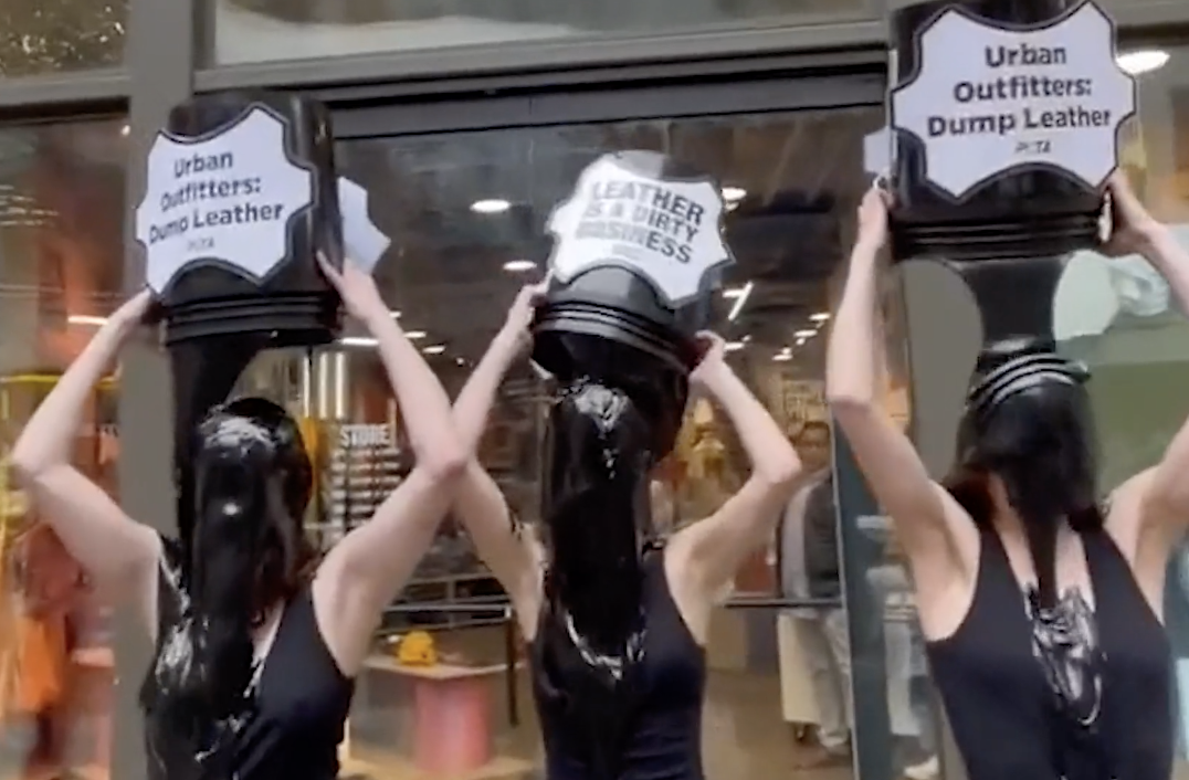 PETA Victories in 2022! 