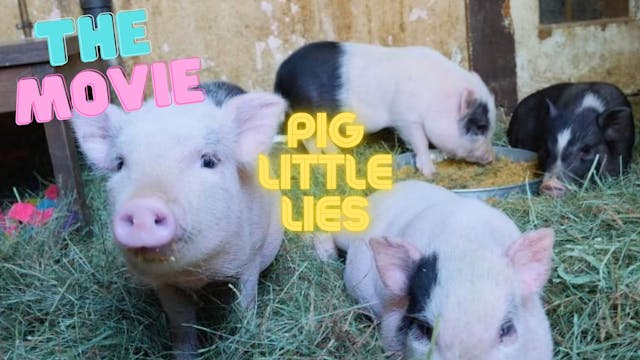 Pig Little Lies - The Movie