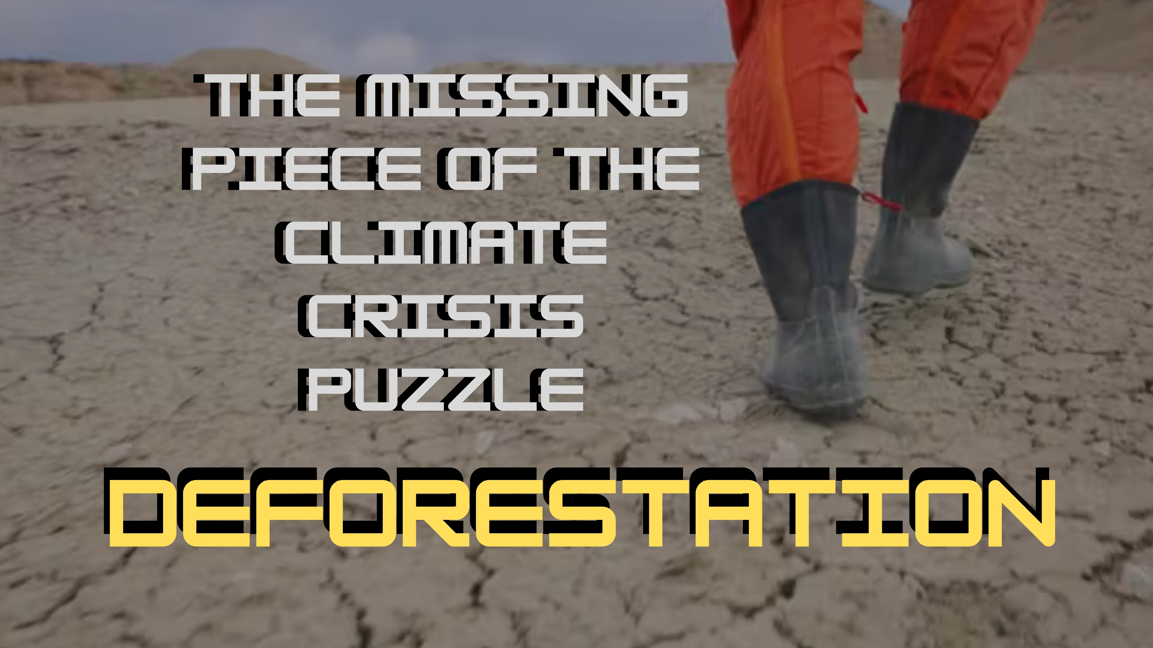  Deforestation: The Missing Climate Link 