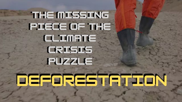 Deforestation: The Missing Climate L...