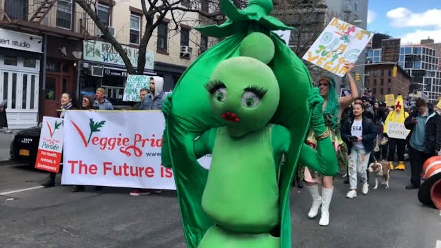 Why Is A Pea Marching The Streets?