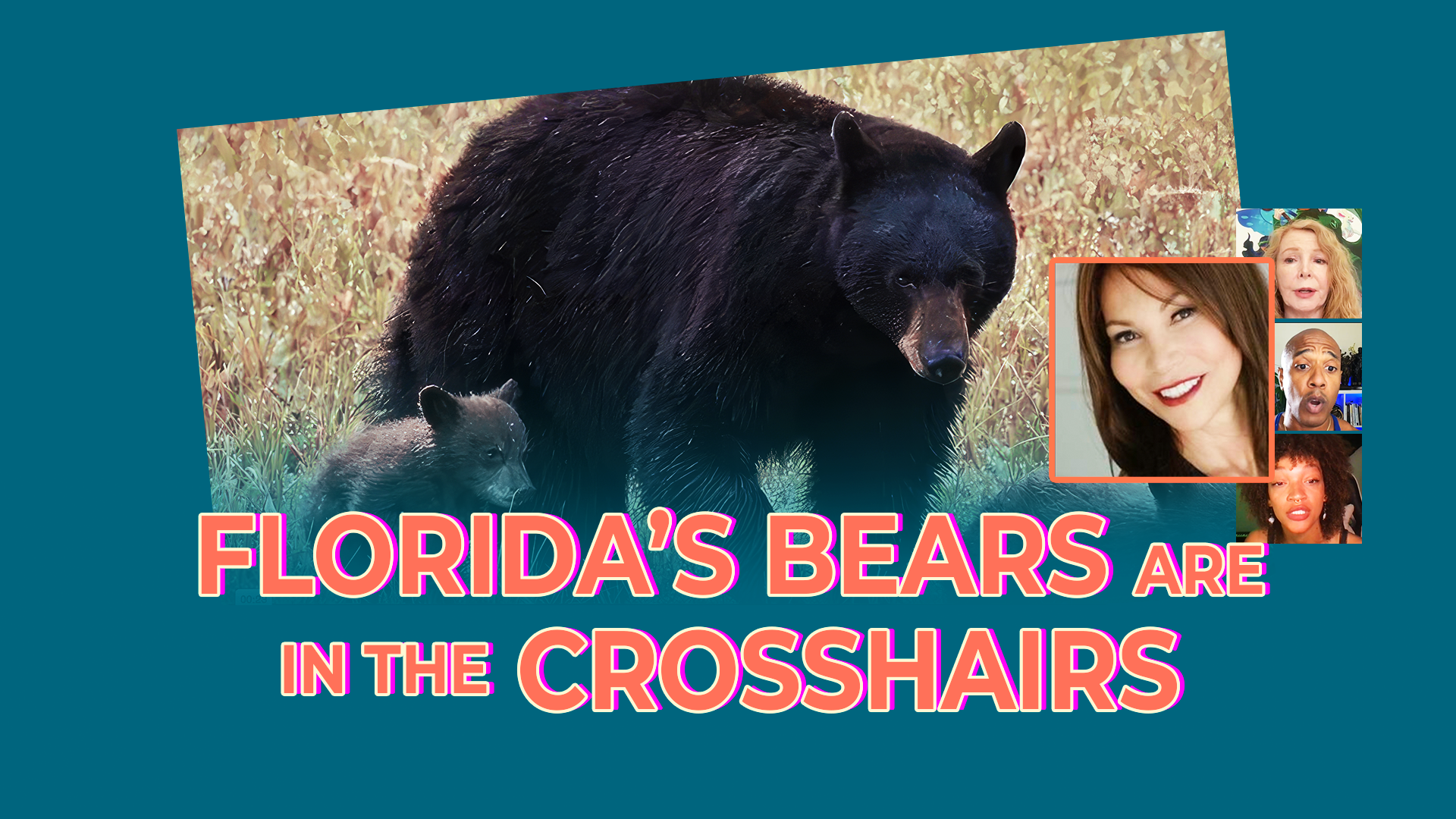 Wild Bears Are in the Crosshairs