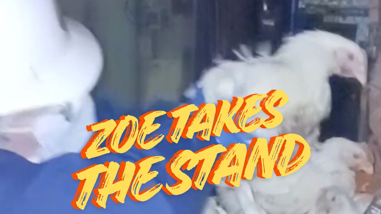 Defendant Zoe Takes the Stand