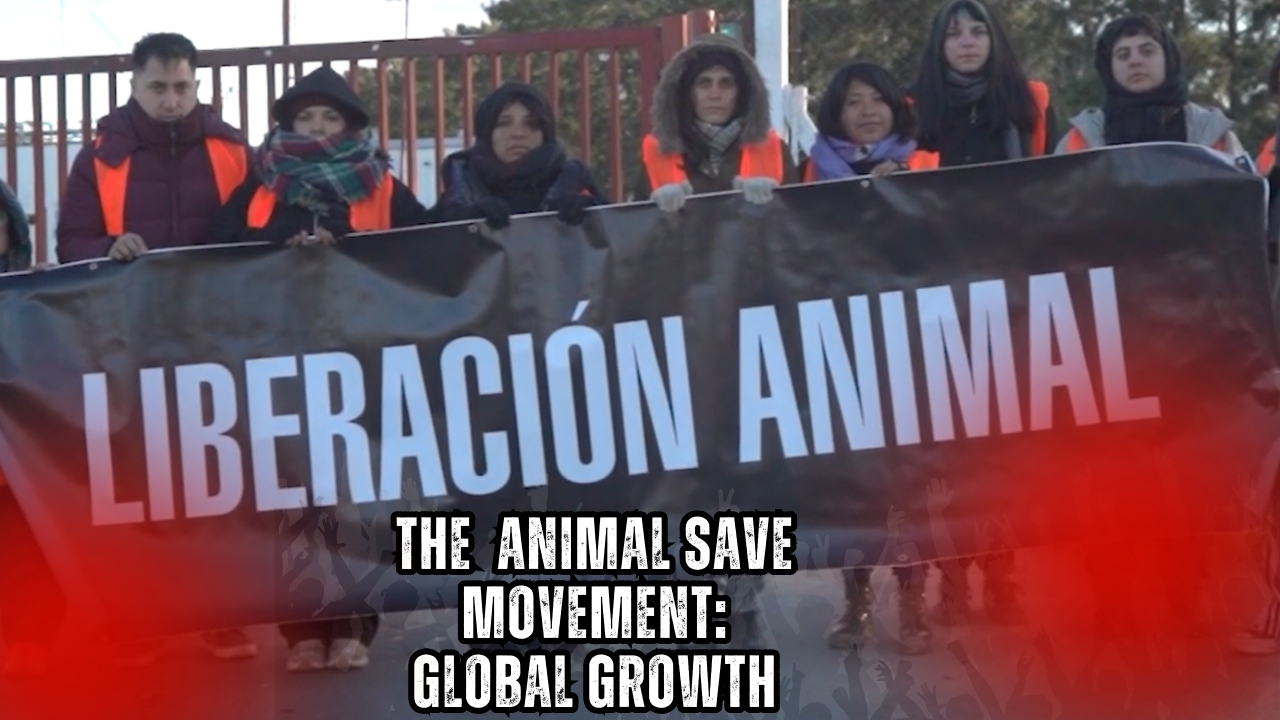 Animal Save Movement: Global Rise