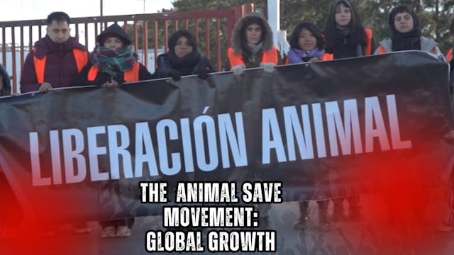 Animal Save Movement: Global Rise