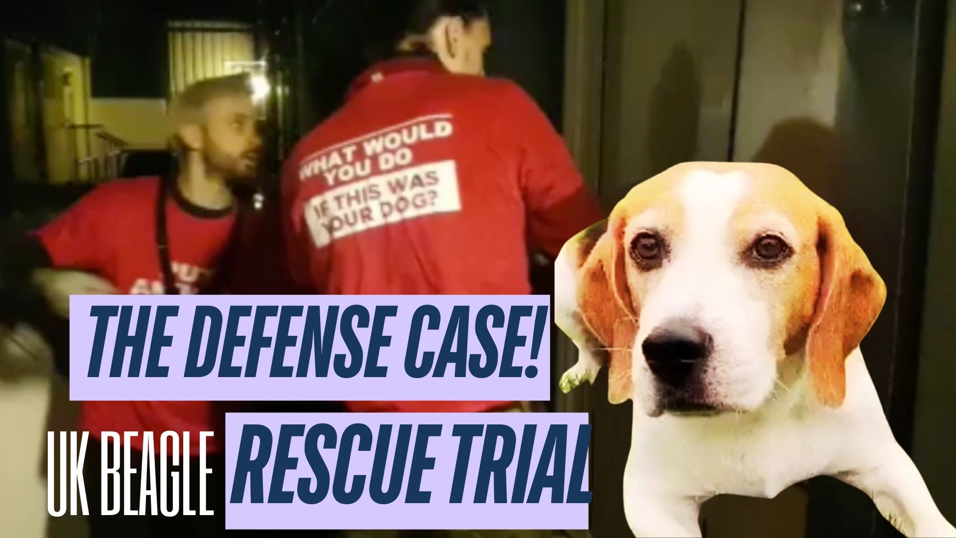 Beagle Rescue Trial: The DEFENSE