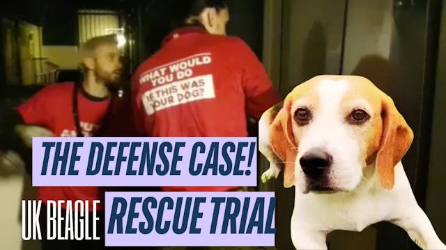 Beagle Rescue Trial: The DEFENSE