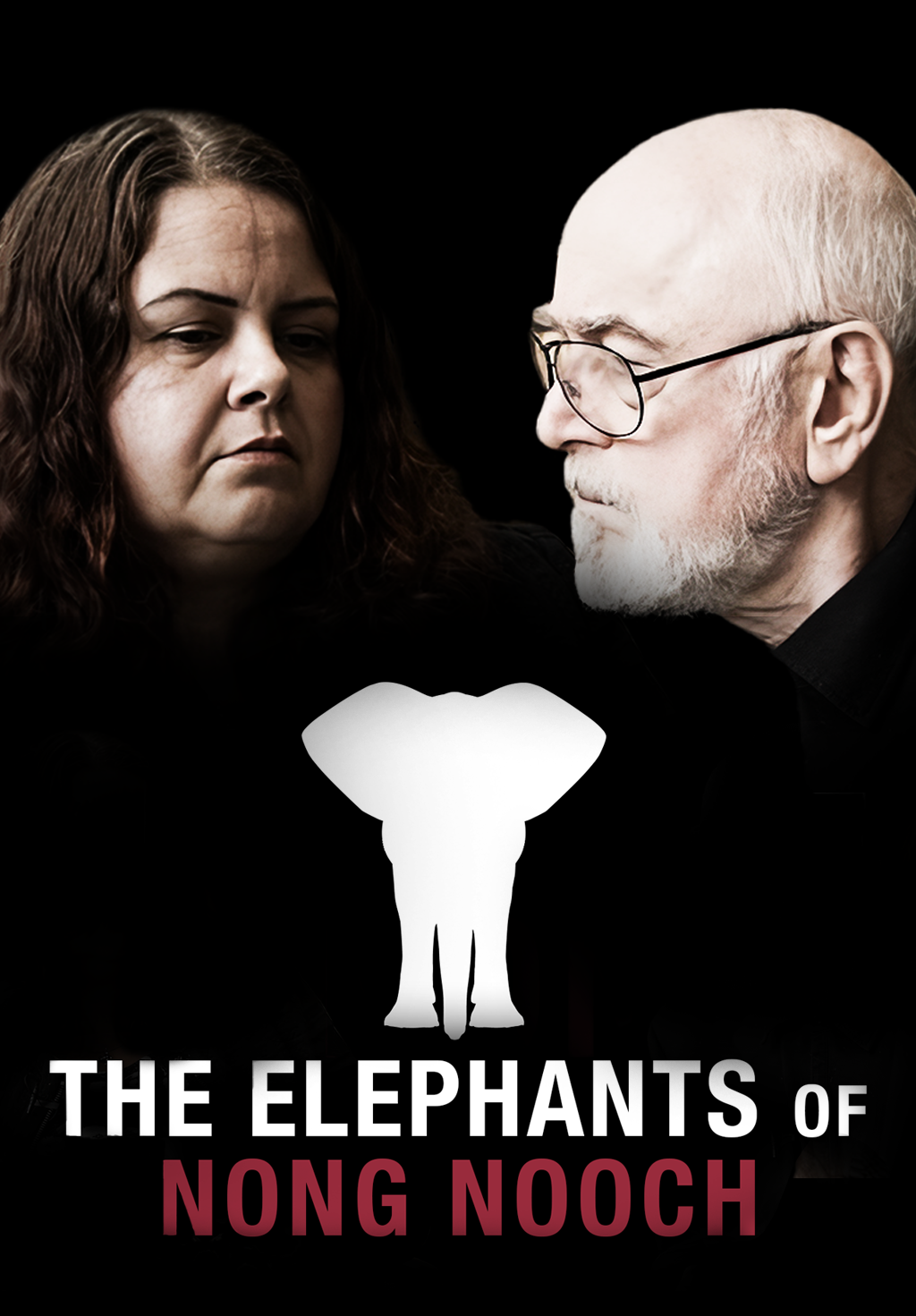 The Elephants of Nong Nooch