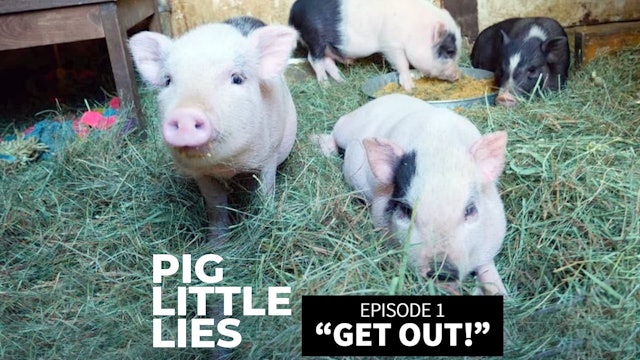 PIG LITTLE LIES Ep 1 - Get Out!