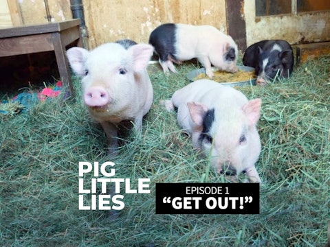 PIG LITTLE LIES Ep 1 - Get Out!