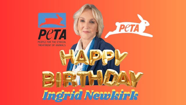 PETA's Ingrid Newkirk Speaks!