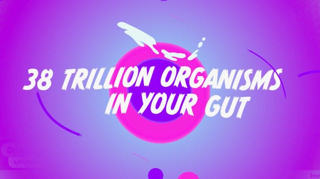 Optimize Your Gut Microbiome!