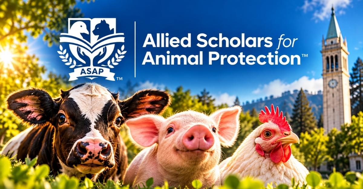 Allied Scholars for Animal Protection