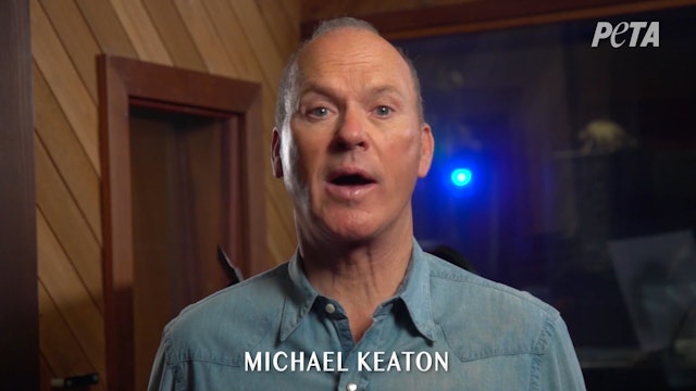 Michael Keaton Defends Bear Cubs