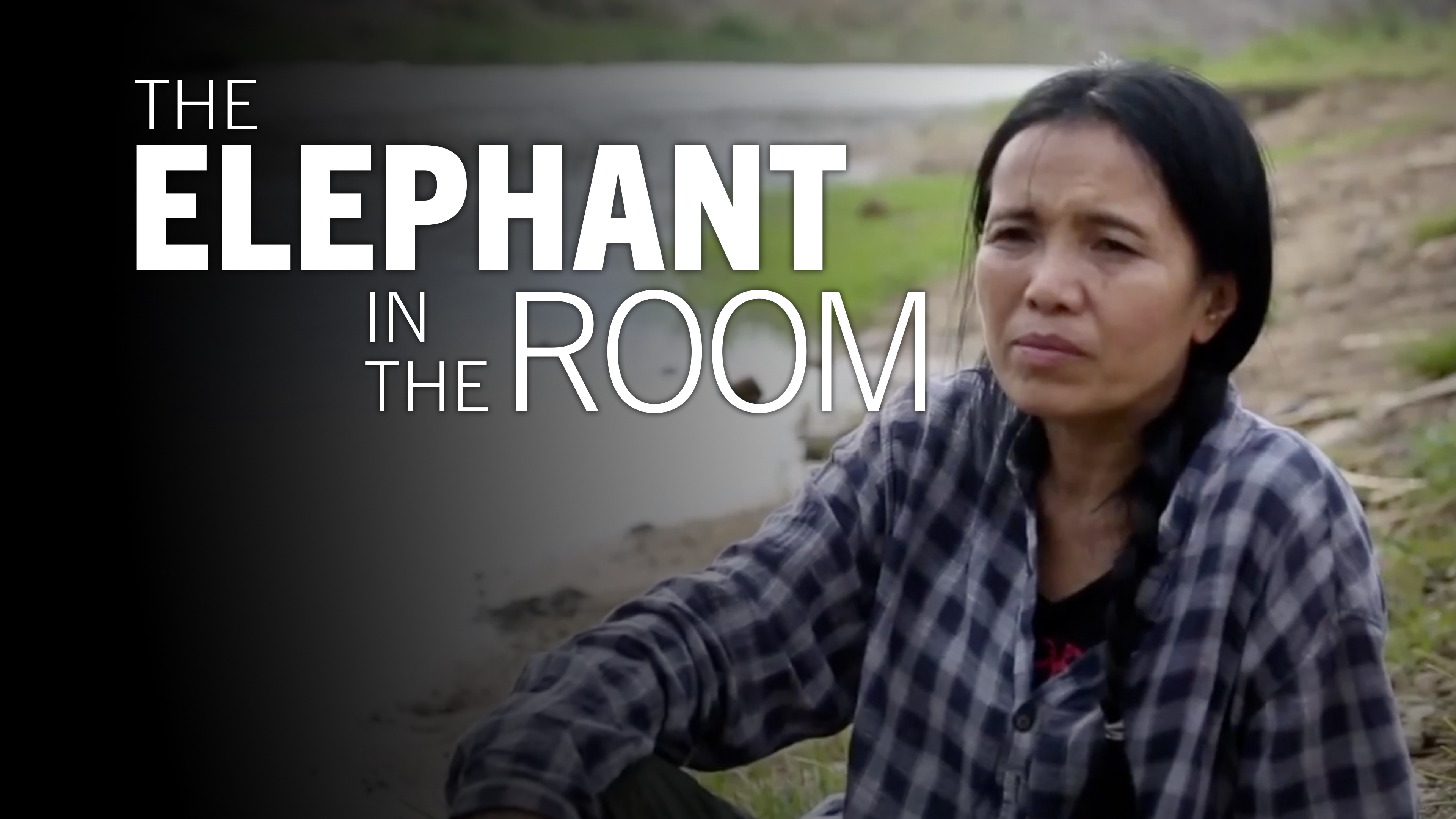 The Elephant in the Room