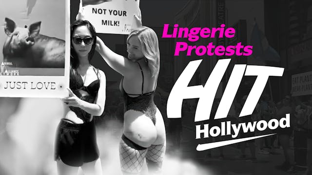 Lingerie Protests Hit Hollywood