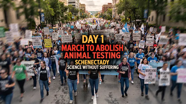 First Stop: March vs Animal Tests