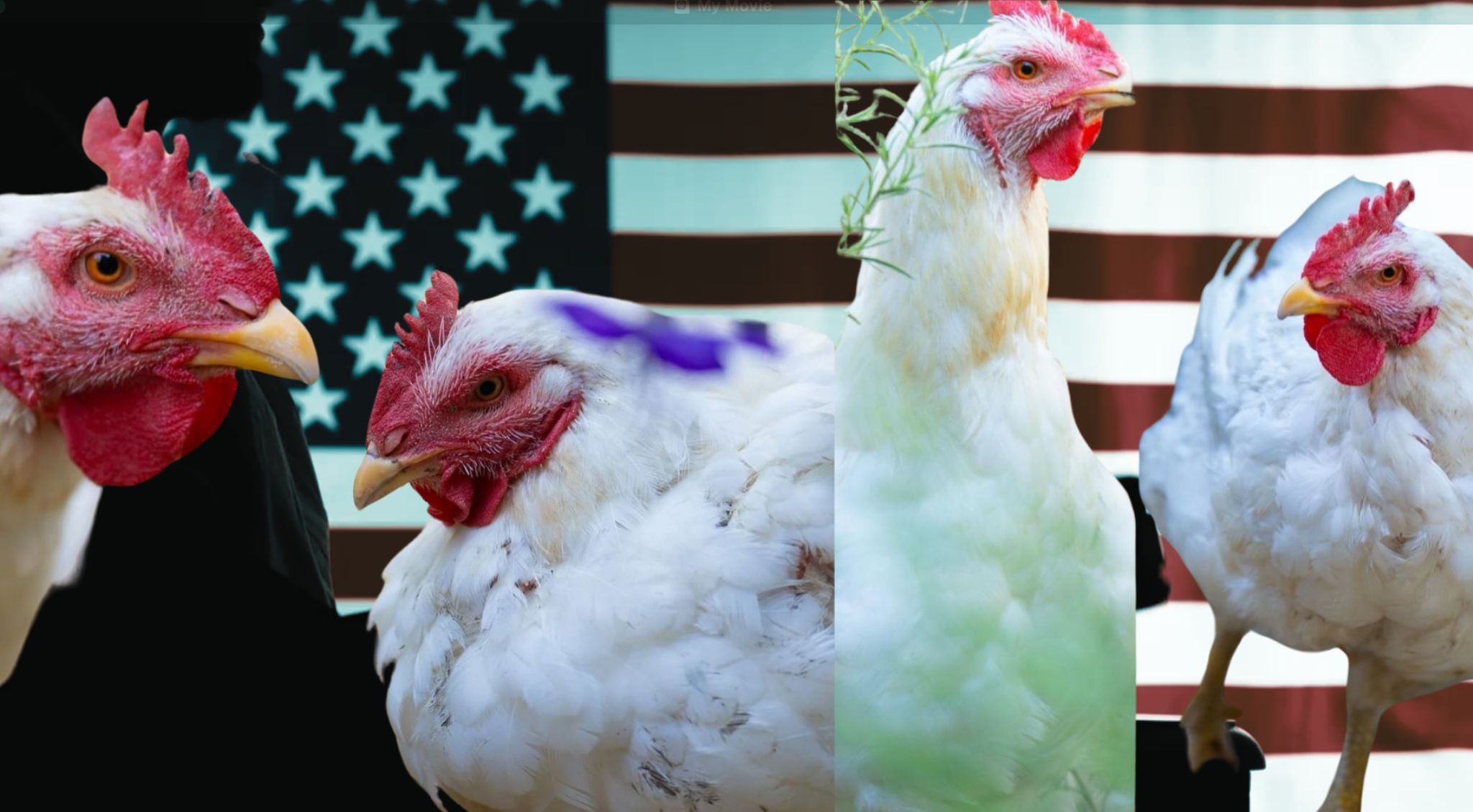 Prosecutor Suddenly Rests His Case