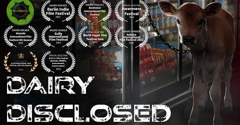 Dairy Disclosed - What It Takes to Make Milk and Cheese