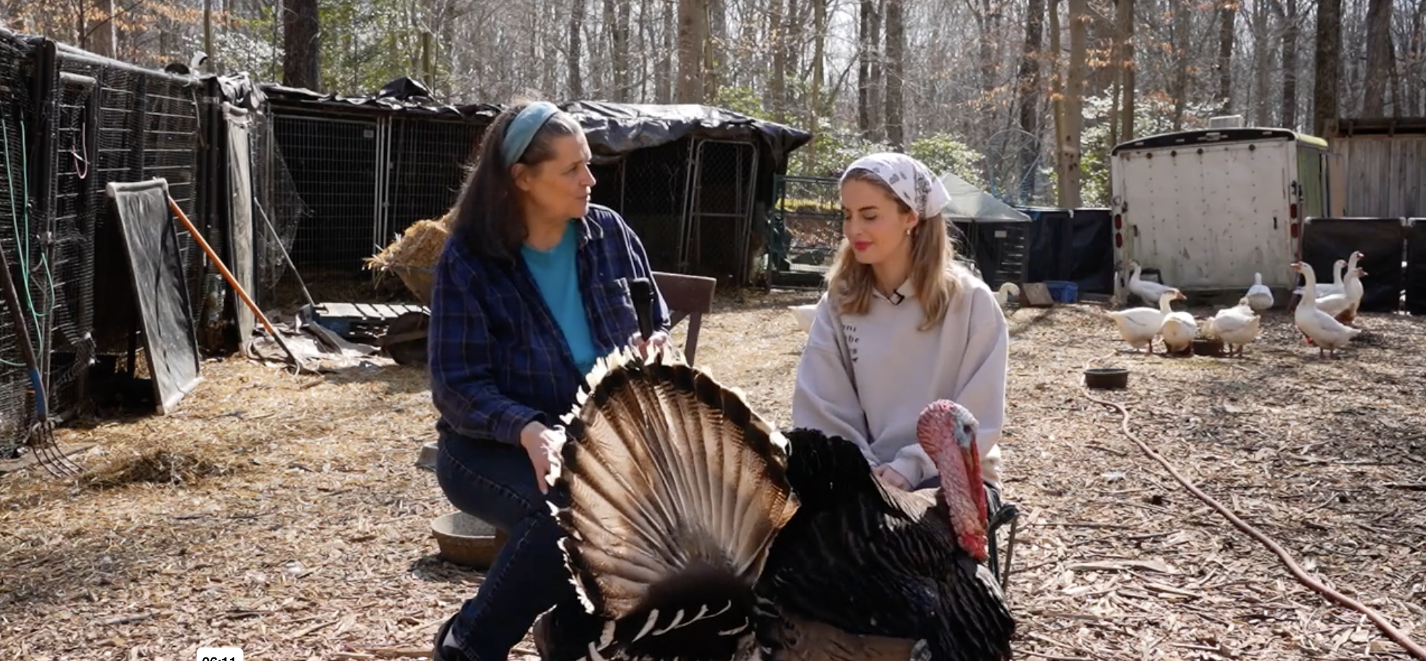 Saving Lives With Flip Flops Animal Sanctuary (ft. Cathy Rogers)