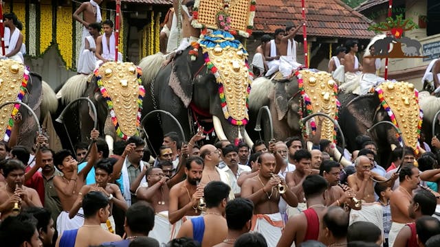 The Plight of Temple Elephants