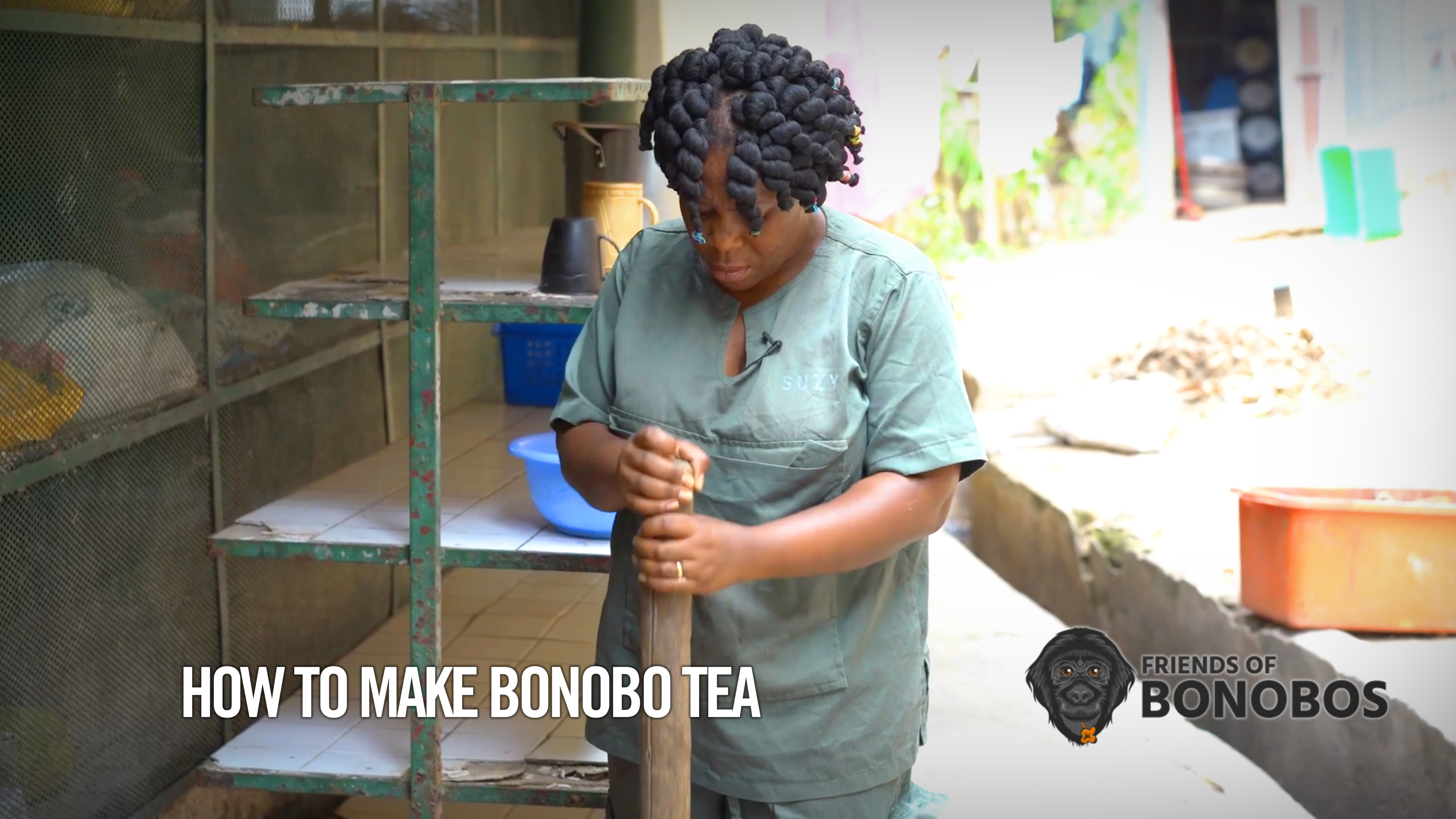 How to Make Bonobo Tea