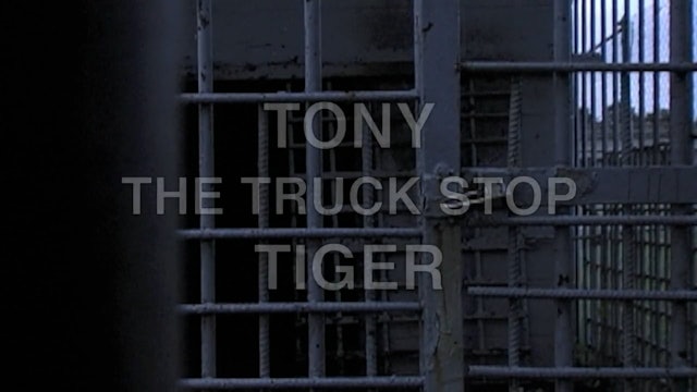 Tony the Truck Stop Tiger_ UPDATE