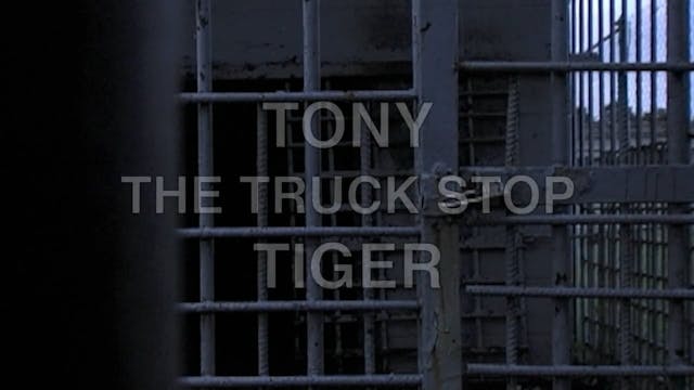 Tony the Truck Stop Tiger_ UPDATE