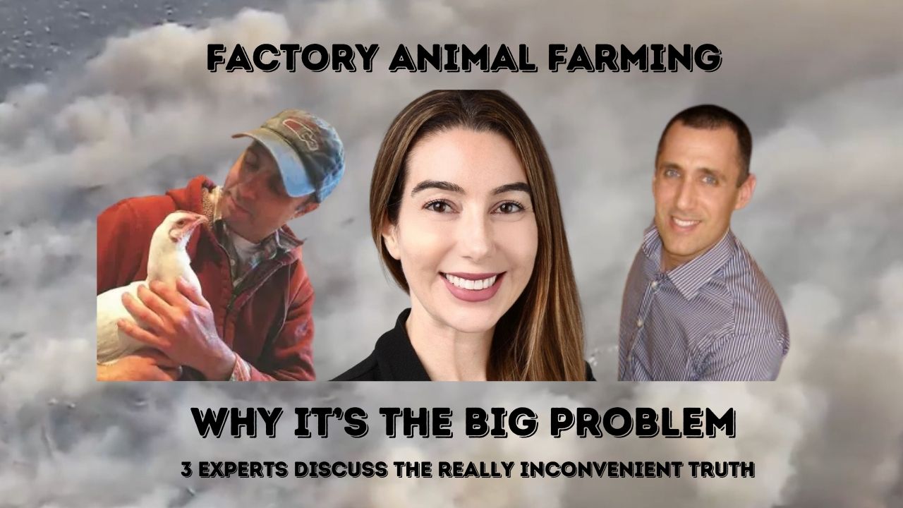 Bird Flu, Wildfires: Factory Farming's Role!